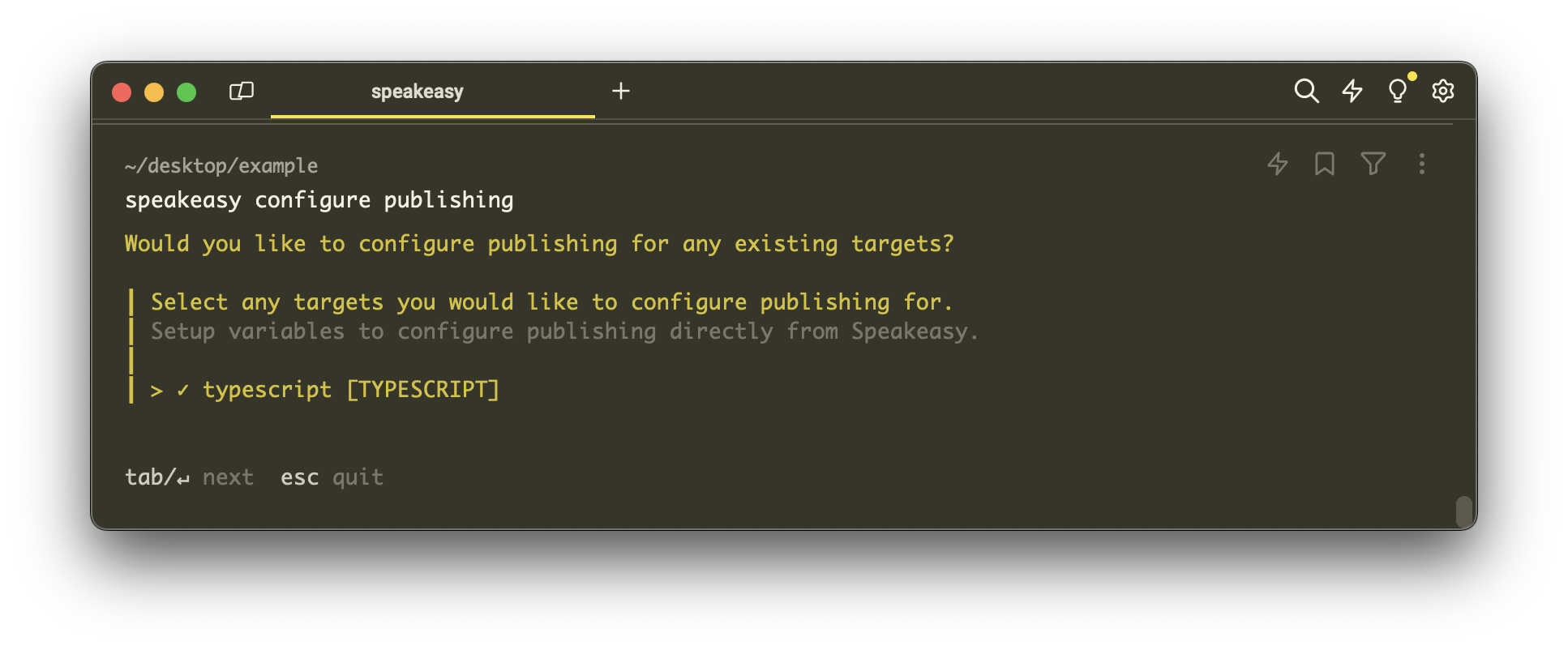 Screenshot of the terminal after running Speakeasy configure publishing.