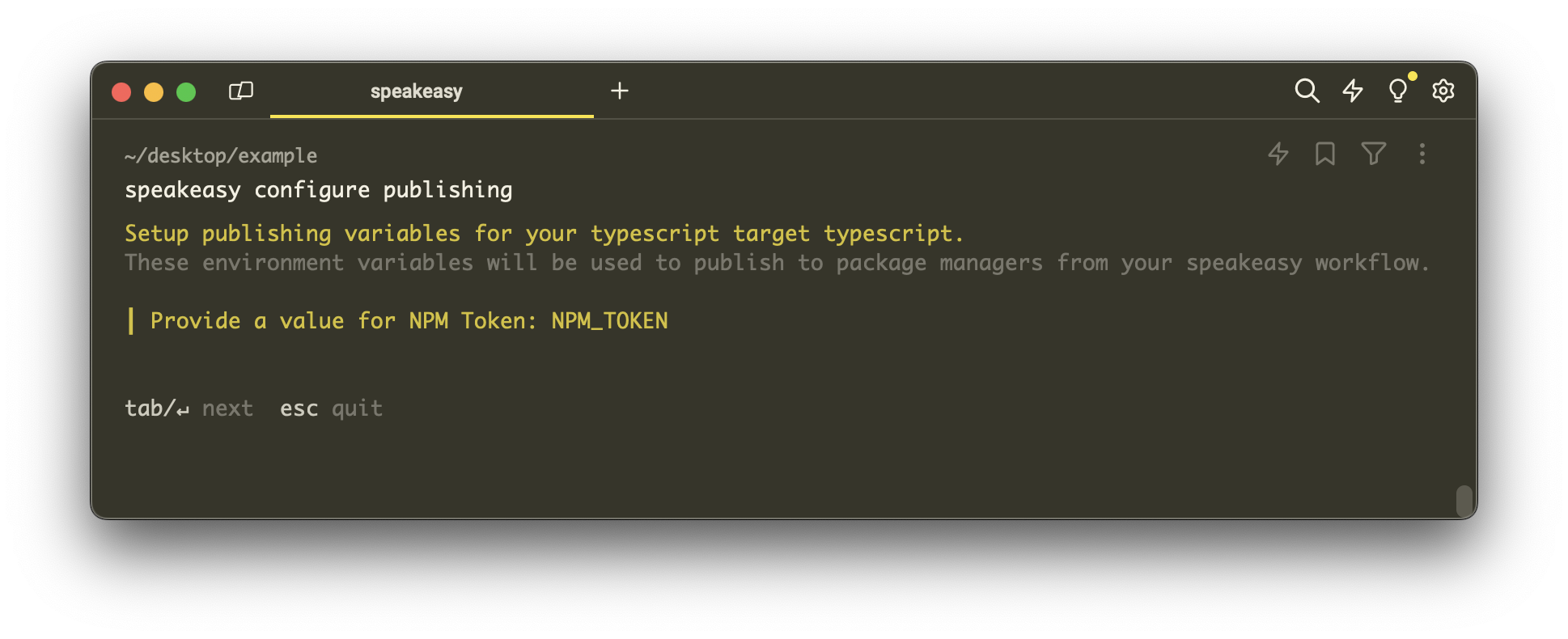 Screenshot of the terminal prompting the user for an NPM token.