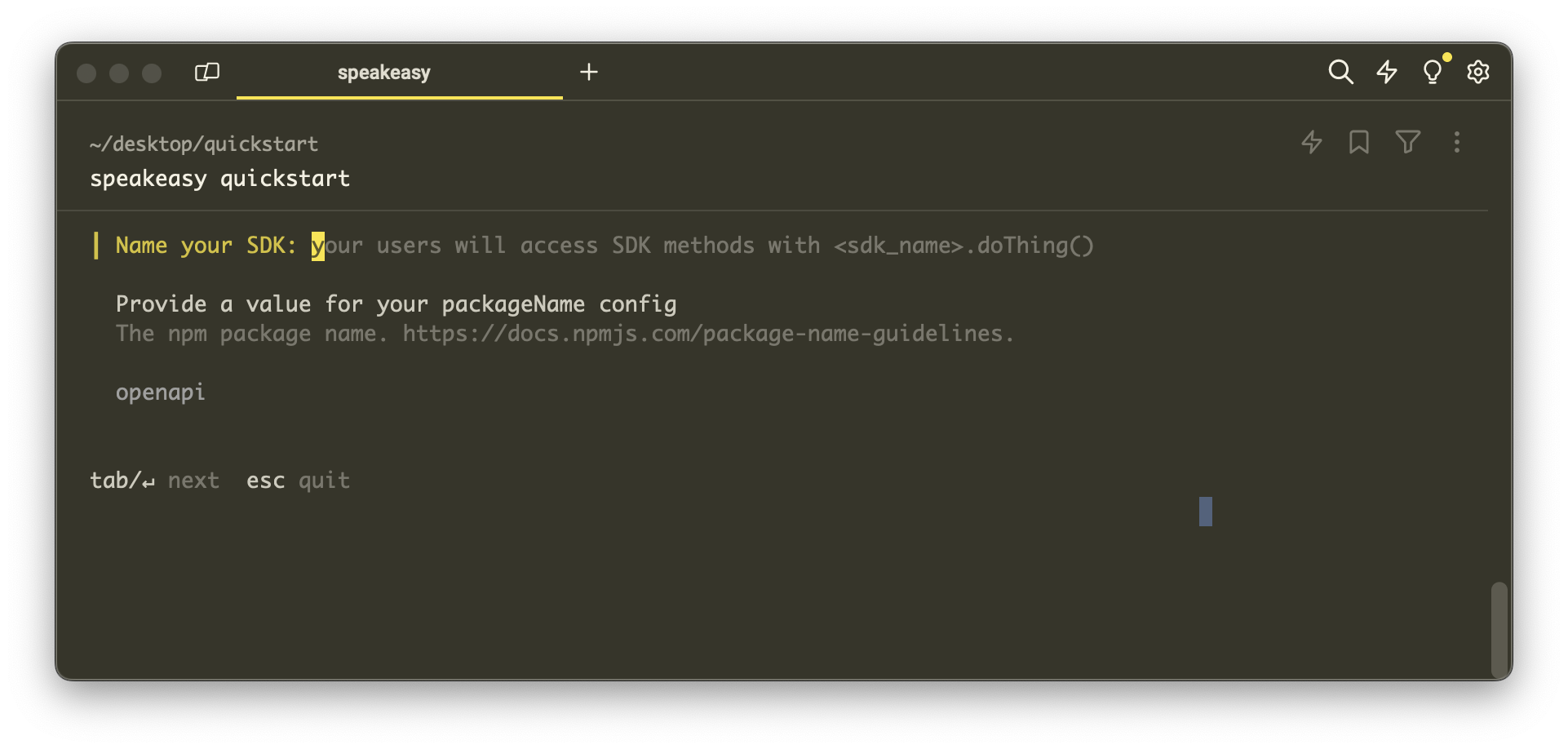 Screenshot of the terminal with optional parameters.
